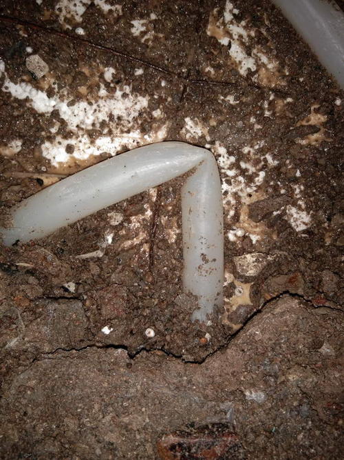 东海堵点精准查找